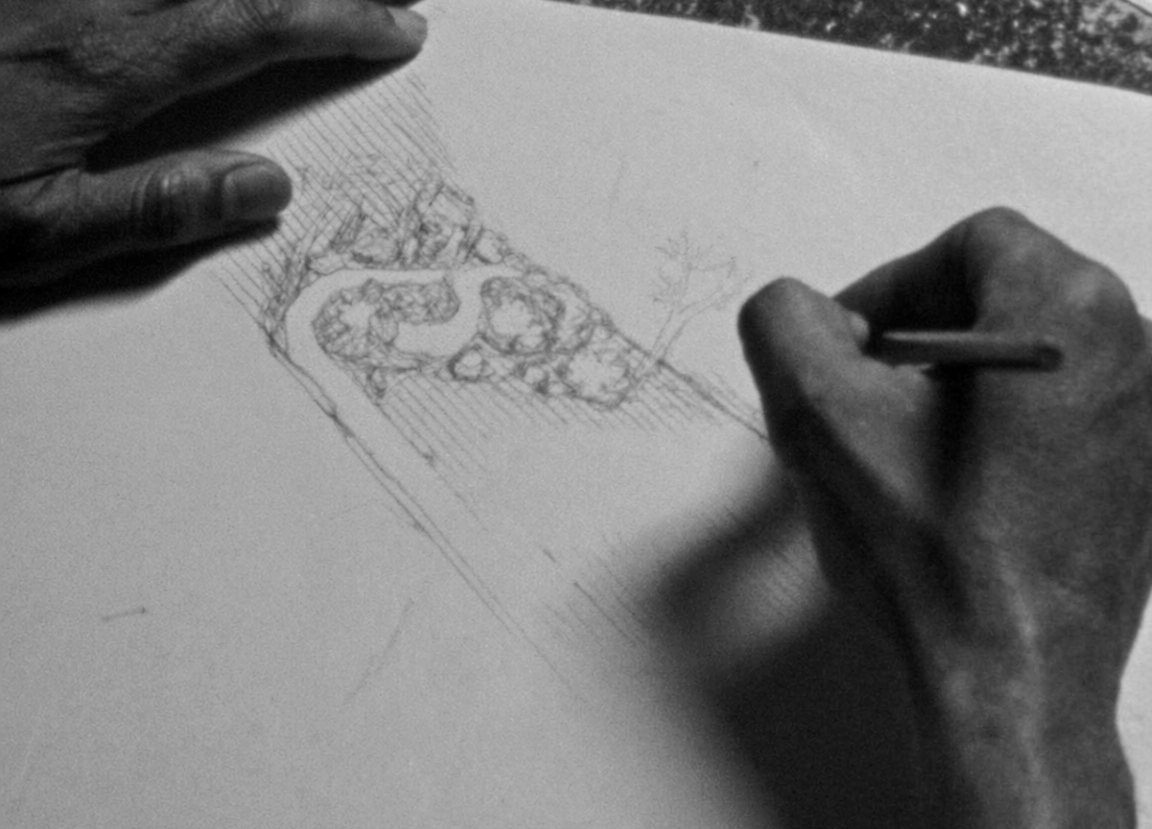 A hand tracing over a planting plan in pencil, in black and white.